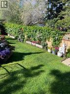 SUMMER PHOTO - Lawn area, beautiful & lush! - 