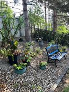 SUMMER PHOTO - Park-like yard - 