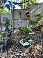 SUMMER PHOTO - Your back yard oasis! - 