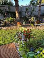 SUMMER PHOTO - Lush garden plants! - 