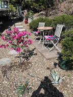 SUMMER PHOTO - Front yard sitting area and walkway - 