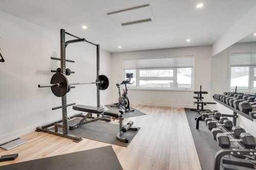 Loft - 319 Rue De La Sève, Gatineau (Gatineau), QC - Indoor Photo Showing Gym Room