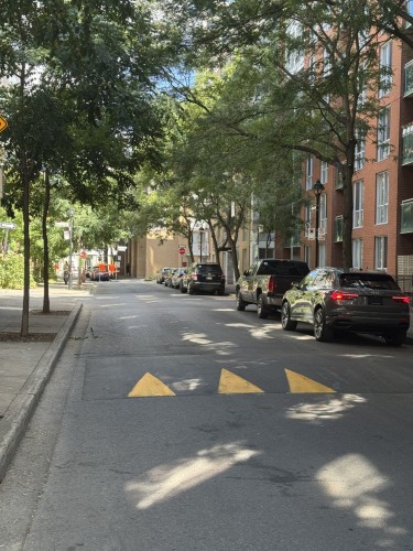 611-88 Rue Charlotte  Montréal (Ville-Marie), QC H2X 4E2