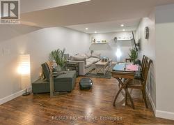 Living room on lower level - 