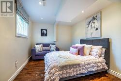 4th bedroom  lower level - 