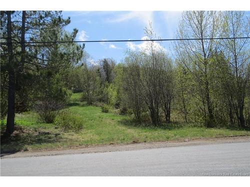 29 2Nd Ave, Napadogan, NB 