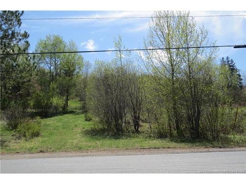 29 2Nd Ave, Napadogan, NB 