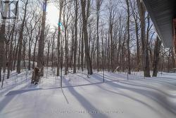 Backyard Views - 
