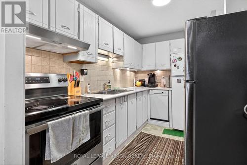 1002 - 81 Millside Drive, Milton, ON - Indoor Photo Showing Kitchen With Double Sink