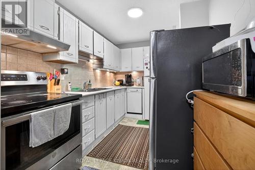 1002 - 81 Millside Drive, Milton, ON - Indoor Photo Showing Kitchen With Double Sink