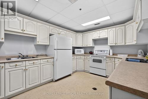 1002 - 81 Millside Drive, Milton, ON - Indoor Photo Showing Kitchen With Double Sink