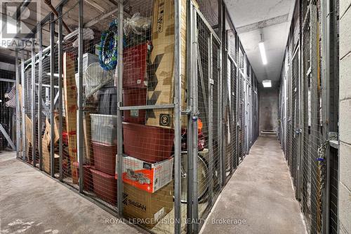 1002 - 81 Millside Drive, Milton, ON - Indoor With Storage