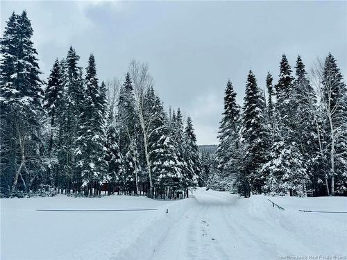 - Caribou Brook, Rivière-Verte, NB 