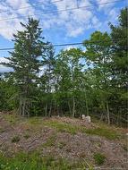 Lot 09-15 Route 105  Jemseg, NB E4C 3K7