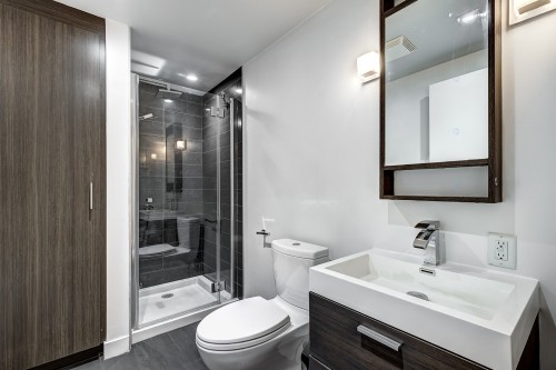 Salle de bains - 312-905 Av. Plymouth, Mont-Royal, QC - Indoor Photo Showing Bathroom
