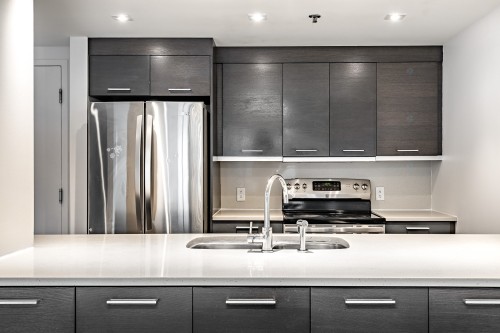 Cuisine - 312-905 Av. Plymouth, Mont-Royal, QC - Indoor Photo Showing Kitchen With Upgraded Kitchen