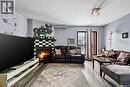 211 3410 Park Street, Regina, SK  - Indoor Photo Showing Living Room 