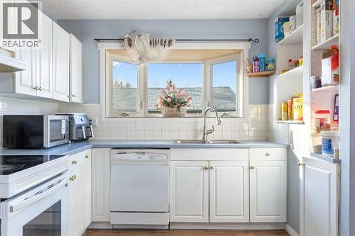 6124 Maddock Drive Ne, Calgary, AB - Indoor Photo Showing Kitchen With Double Sink