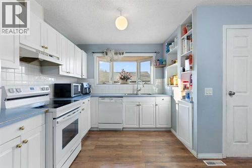 6124 Maddock Drive Ne, Calgary, AB - Indoor Photo Showing Kitchen With Double Sink