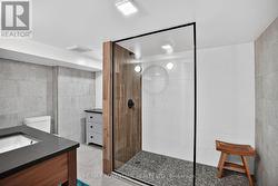 Walk in shower in lower level - 