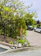 8 Shallimar Court  Brampton, ON L6X 4N2