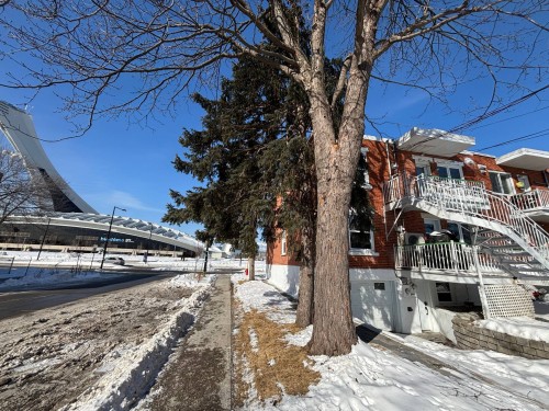 Street - 4704A Av. Pierre-De Coubertin, Montréal (Mercier/Hochelaga-Maisonneuve), QC - Outdoor