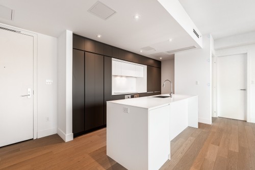 Cuisine - 302-900 Rue André-Prévost, Montréal (Verdun/Île-Des-Soeurs), QC - Indoor Photo Showing Kitchen