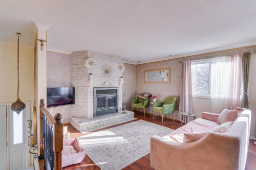 Salon - 60 Rue De La Nouvelle-France, Gatineau (Gatineau), QC - Indoor Photo Showing Living Room With Fireplace