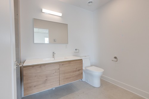 Salle d'eau - 303-8945 Boul. Viau, Montréal (Saint-Léonard), QC - Indoor Photo Showing Bathroom