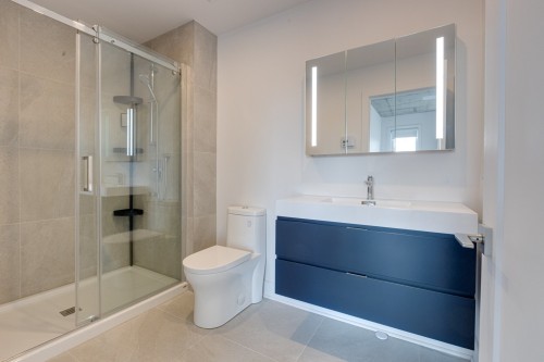 Salle de bains - 303-8945 Boul. Viau, Montréal (Saint-Léonard), QC - Indoor Photo Showing Bathroom