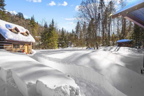 Extérieur - 14 2E Rue Du Domaine-Bavarois, Saint-Sauveur, QC - Outdoor