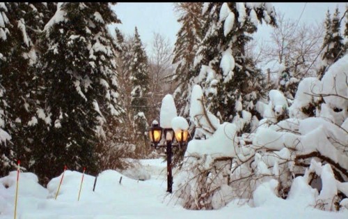 Extérieur - 14 2E Rue Du Domaine-Bavarois, Saint-Sauveur, QC - Outdoor With View
