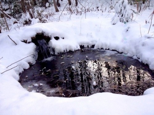Extérieur - 14 2E Rue Du Domaine-Bavarois, Saint-Sauveur, QC - Outdoor With View