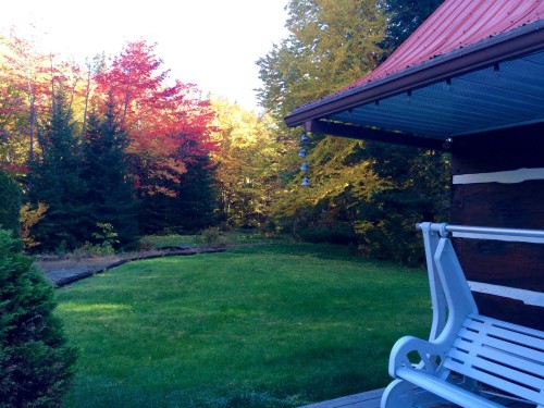 Extérieur - 14 2E Rue Du Domaine-Bavarois, Saint-Sauveur, QC - Outdoor With Backyard