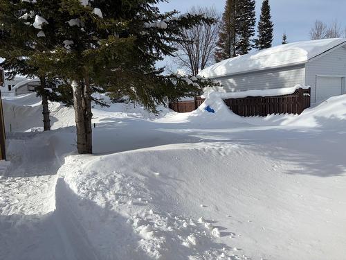 Cour - 21 Av. Massicotte, Rouyn-Noranda, QC - Outdoor