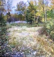 260A Main Street  Embree, NL A0G 2B0