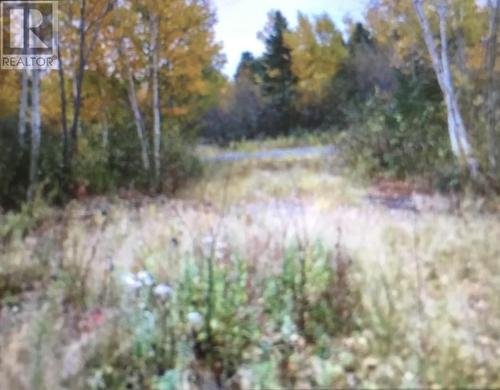 260A Main Street, Embree, NL 