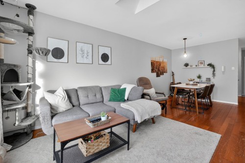 Living Room - 12-500 Rue Ste-Hélène, Longueuil (Le Vieux-Longueuil), QC - Indoor Photo Showing Living Room