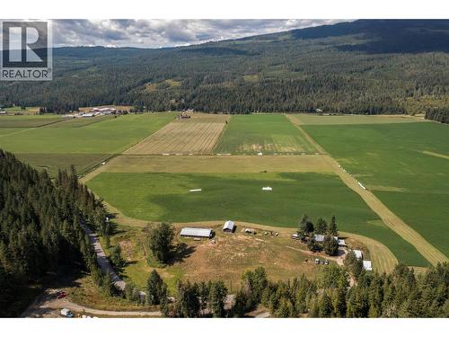 414 Mallory Road, Enderby, BC - Outdoor With View