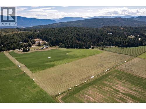 414 Mallory Road, Enderby, BC - Outdoor With View