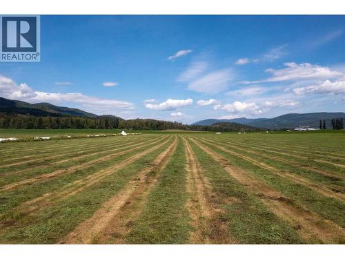 414 Mallory Road, Enderby, BC - Outdoor With View