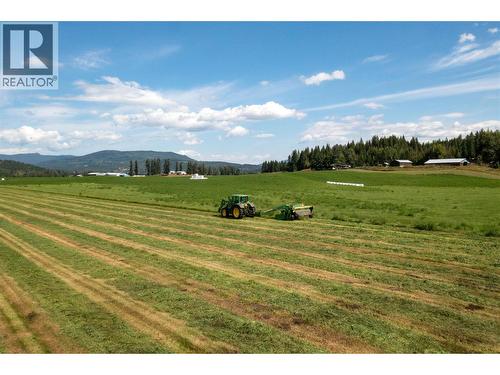 414 Mallory Road, Enderby, BC - Outdoor With View