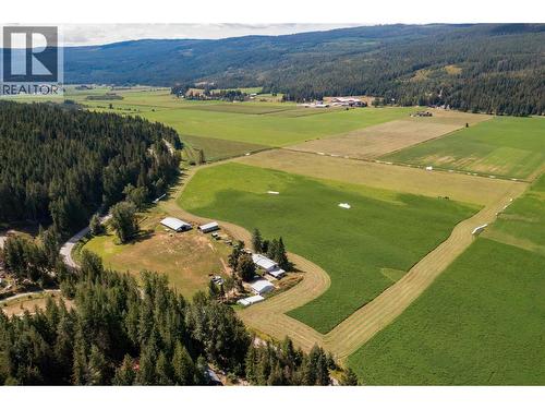 414 Mallory Road, Enderby, BC - Outdoor With View