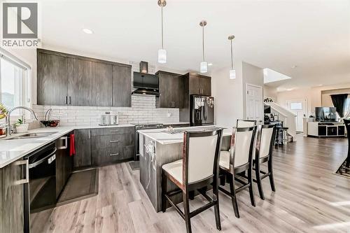 217 Masters Road Se, Calgary, AB - Indoor Photo Showing Kitchen With Double Sink With Upgraded Kitchen