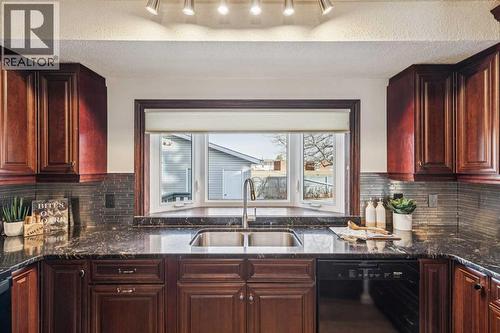 195 Lake Adams Crescent Se, Calgary, AB - Indoor Photo Showing Kitchen With Double Sink