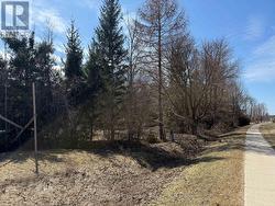 0 NORTH RANKIN STREET Saugeen Shores, ON N0H 2L0