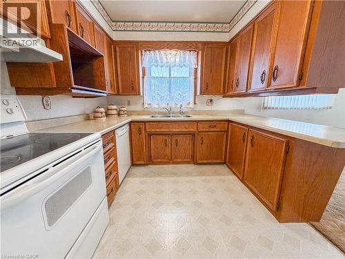 91 Massey Avenue, Kitchener, ON - Indoor Photo Showing Kitchen With Double Sink