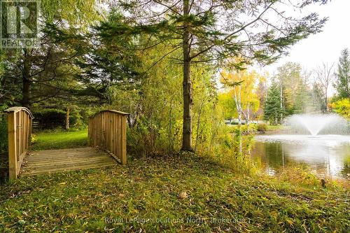 7833 Poplar Side Road, Clearview, ON - Outdoor