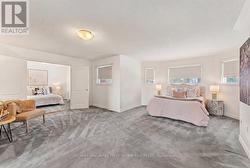 Carpet colour altered - 