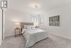 Carpet colour altered - 